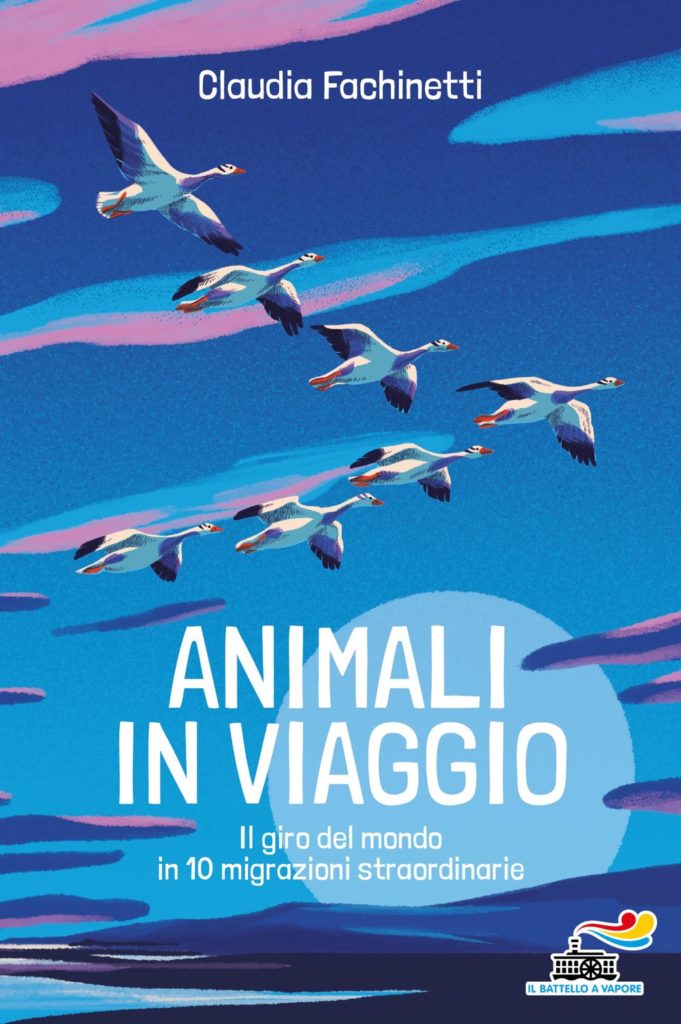 9788856697261 claudia fachinetti animali in viaggio